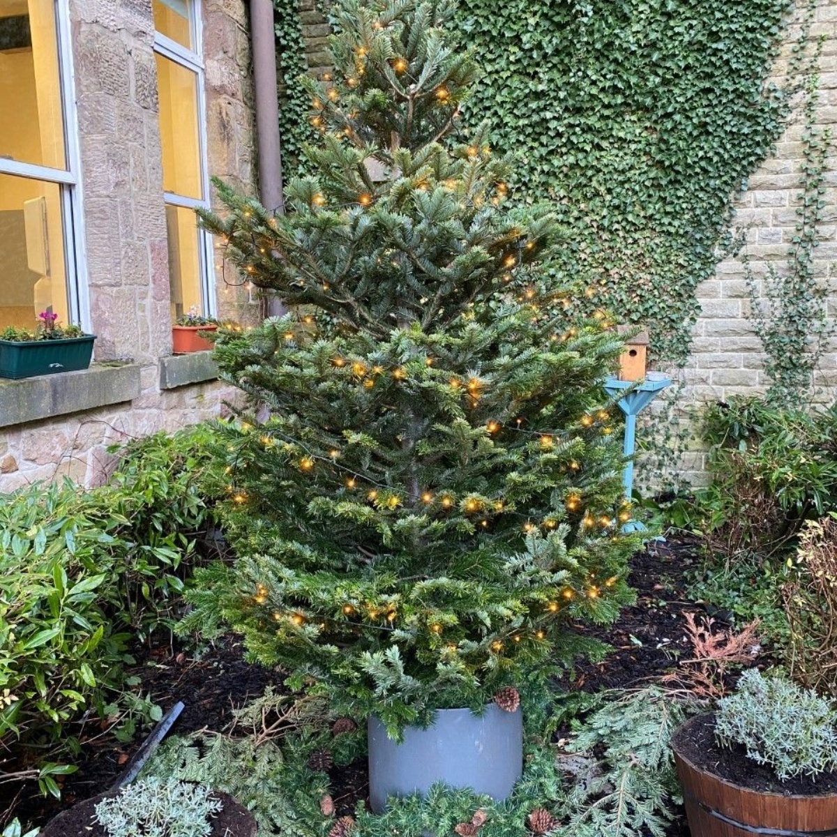 Buxton Community School Christmas is here!